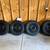 17" Winter tires & rims w/tpms Bronco Sport 1 thumbnail