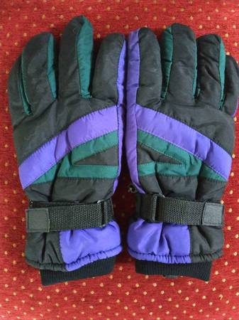 Thinsulate Ski Glove 1
