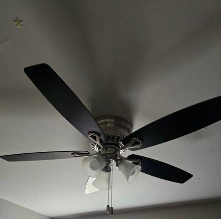 Hunter ceiling fan 1
