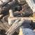 fire wood 3 thumbnail