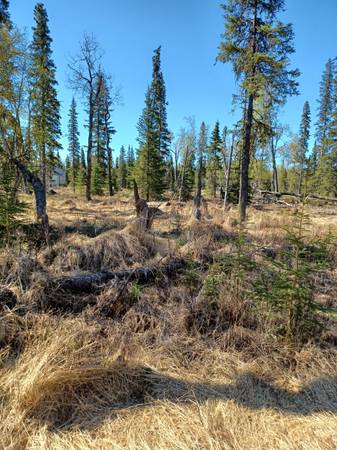 $185,000 / 362855ft2 - Listing #25-511 ATTENTION ALL PILOTS, AIRPARK OPPORTUNITY! (Kasilof)64004785021825124