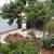 LANDSCAPER y JARDINERÍA “OASIS” 21 thumbnail