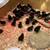 French Black Copper Marans chicks chick 1 thumbnail