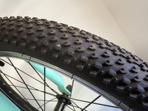 Liv (Giant) Enchant Bicicleta de 20 pulgadas - $150 (san carlos)63470793463299124