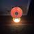 Electric dish heater 3 thumbnail