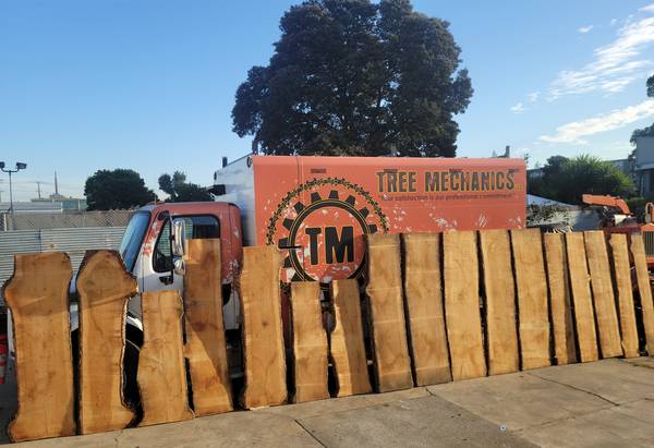 *  *  *  Live Edge Slabs  *  * * 1