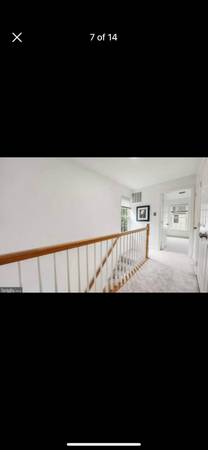 $1,000 / 1br - Basement for rent in Kingstowne (Alexandria/ Fort Belvoir)63843415088257122