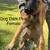 Belgian Malinois 1 thumbnail