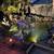 Garden Oasis;Koi Pond and Hot Tub! 3BR/2BA 9 thumbnail