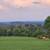 42.43 Acres 8 thumbnail