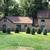 EVERGREEN SCREENING. HEDGES, PRICACY WALLS ETC 13 thumbnail