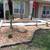 landscape service servicio de jardineria 17 thumbnail