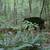 Black bear Cabin FOR SALE ONLY 16 thumbnail