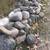 River Rock 2 thumbnail