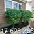 Leaf removal ,gutter cleaning. pruning and more 4 thumbnail