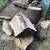Free Silver Maple Trunk-sized Logs (great for firewood) 2 thumbnail