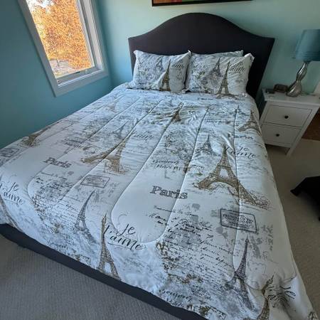Reversible Queen Paris Comforter & 2 Shams Used Sparingly EUC 1