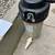 Pool Filter system 2 thumbnail