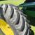 2003 John Deere 9560W Combine 7 thumbnail