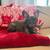 French bulldog puppies 2 thumbnail