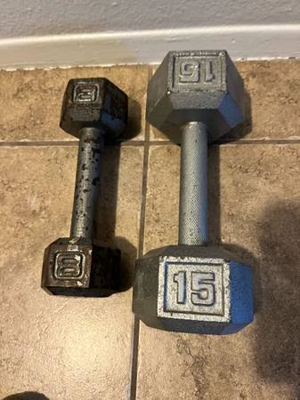 23lbs Dumbbell Weights 1