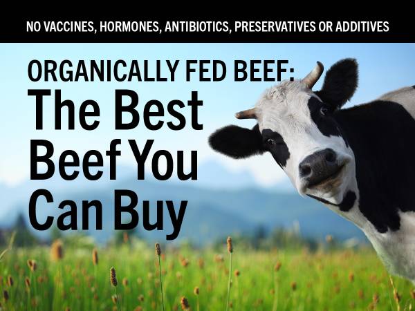 Beef 1