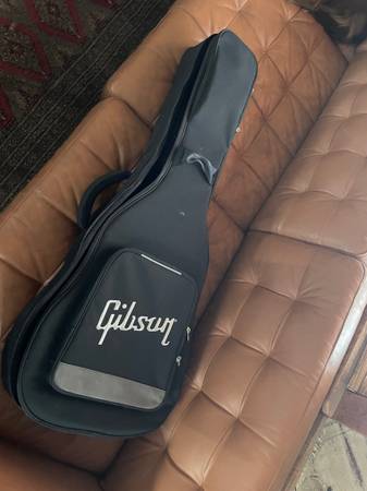 Gibson acoustic soft case 1