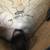 Western Cowboy Boots 6 thumbnail