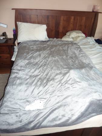 Twin, long electric blanket 1