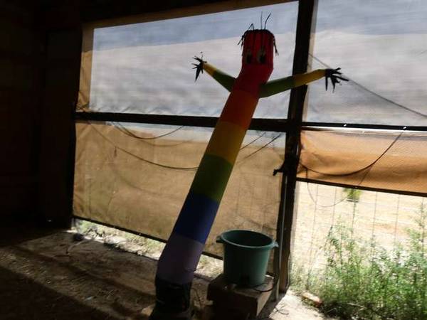 AIR DANCER - WIGGLE MAN 1