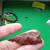 Dalton 1 3/4" 2 thumbnail