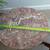 Vintage Victorian Carved Oval Pink Marble Top Occasional Side Table 6 thumbnail