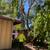TREE REMOVAL SERVICES 21 thumbnail