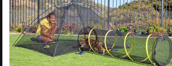 Cat tent and tunnel 1
