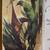 1948 - The Jungle Books
By Rudyard Kipling 3 thumbnail