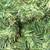 CHRISTMAS TREE Fiber Optic Multi Color Changing Light Up 4 Feet In Box 12 thumbnail