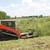 Tree Removal/Land Clearing/Much More 9 thumbnail