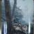 Collectable Natures Harmony four Plates 3 thumbnail