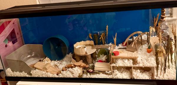 Pet Habitat Possibility 1