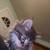 Kittens 2 thumbnail
