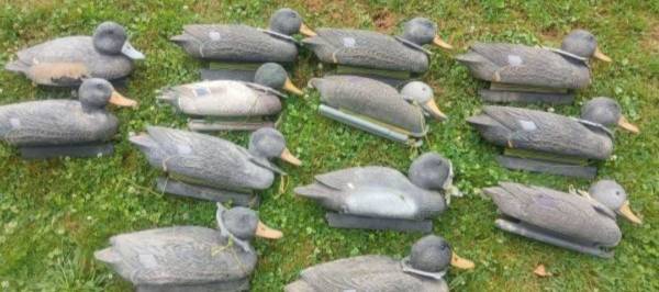 13 vintage duck decoys 1