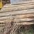 Treated fence posts 2 thumbnail