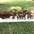 Rare 100 yr old Lowenbrau advertising wooden beer wagon 4 feet long! 3 thumbnail