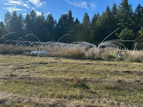 $160,000 / 540000ft2 - Land for SALE!! Owner Carry Available (Cave Junction)64318774127105123