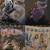 $5 comics 1 thumbnail