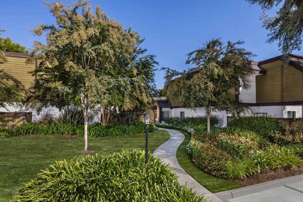 Gas Range and Microwave, Spacious Closets, On-Site Laundry Facilities 1