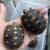 Redfoot tortoise -only 2 left 2 thumbnail