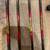 Compound Bow 6 thumbnail