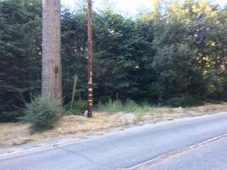 $9,500 FSBO - Vacant Lot (Property near Lake Arrowhead with Seasonal Creek) (Cedar Glen)63865814639873121