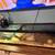 Male Ball Python 3 thumbnail